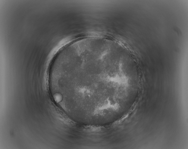 X0000111250343200907301331