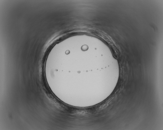 X0000111250344200907301331