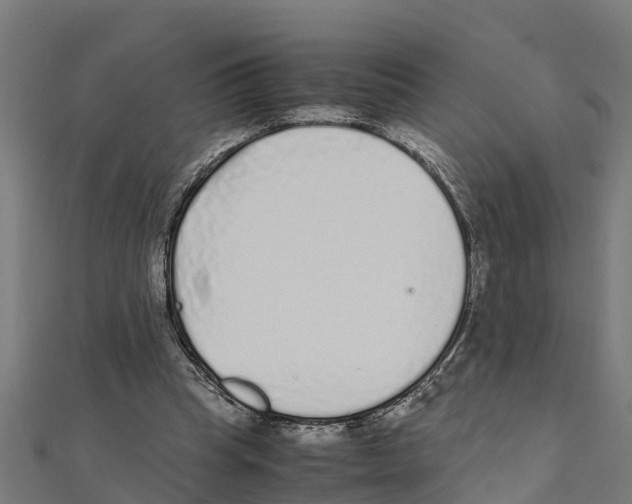 X0000111250345200907301331