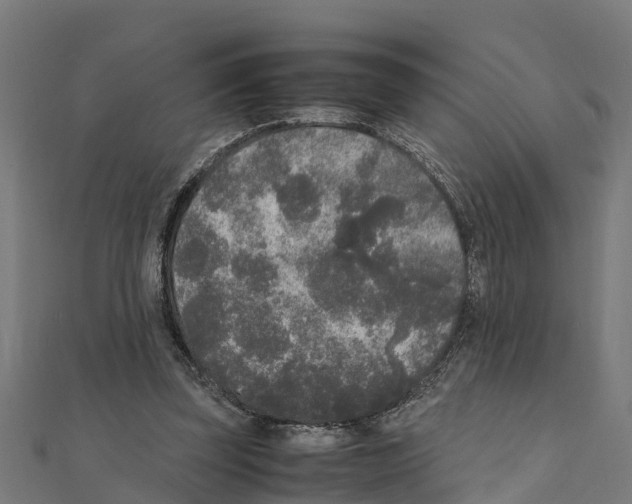 X0000111250347200907301331