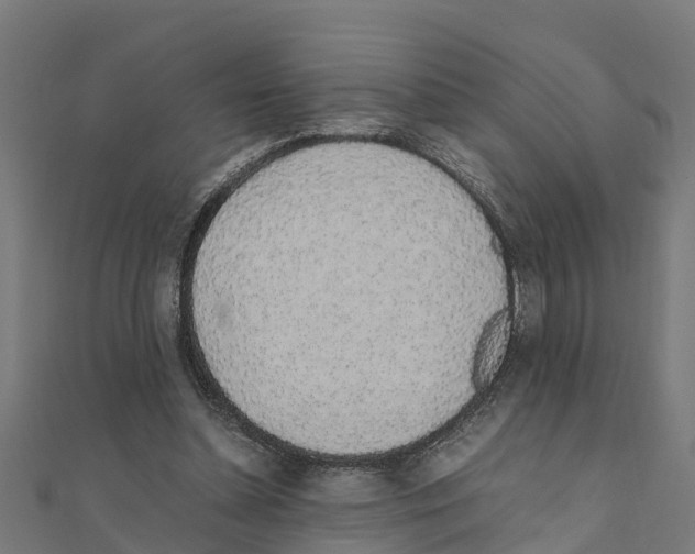 X0000111250348200907301331