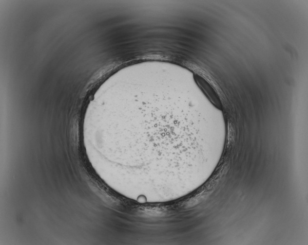 X0000111250349200907301331