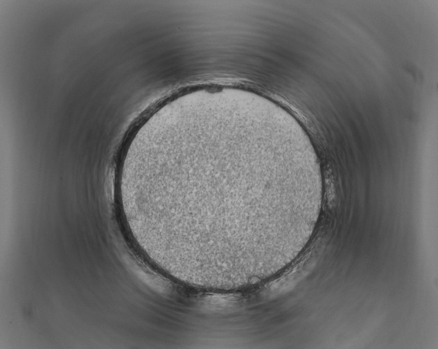 X0000111250350200907301331