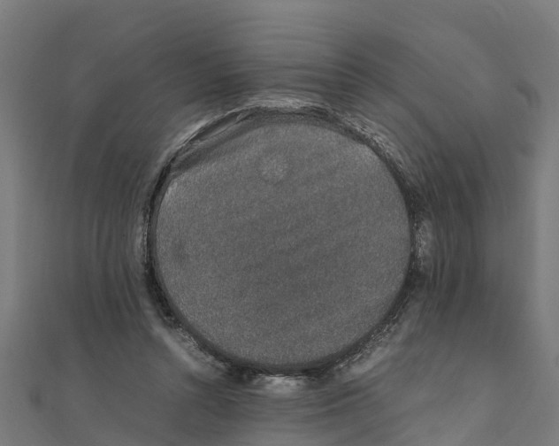 X0000111250352200907301331