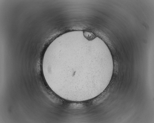 X0000111250354200907301331