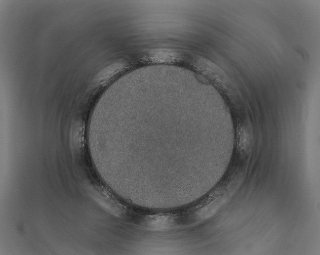 X0000111250356200907301331