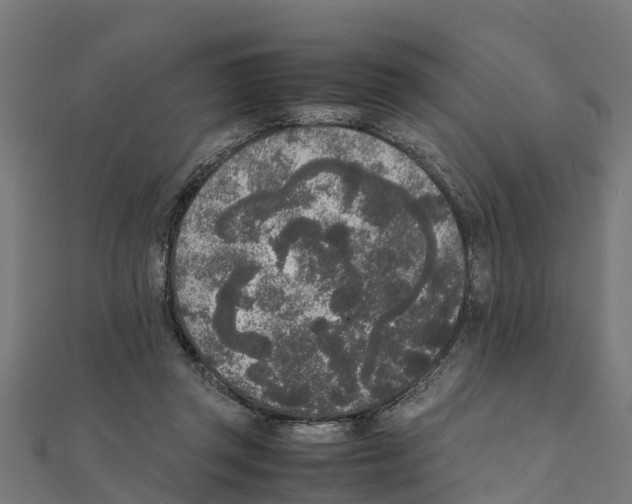 X0000111250357200907301331