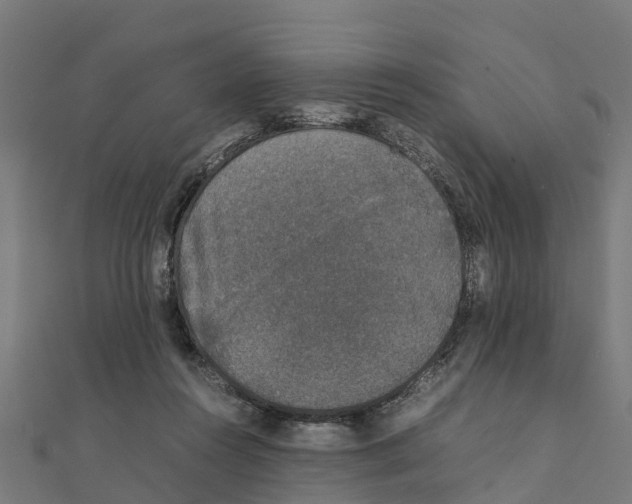 X0000111250360200907301332