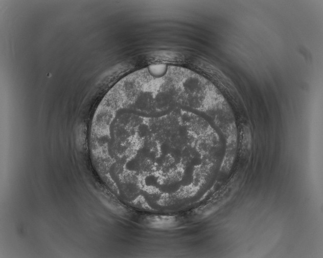 X0000111250361200907301332