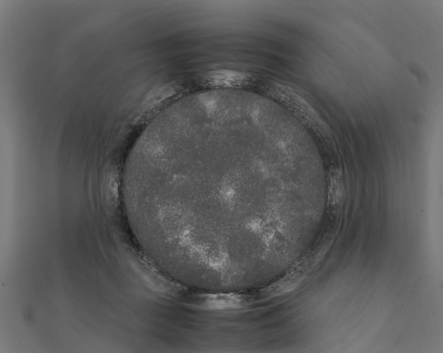 X0000111250363200907301332