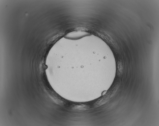 X0000111250364200907301332