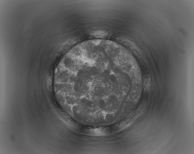 X0000111250365200907301332