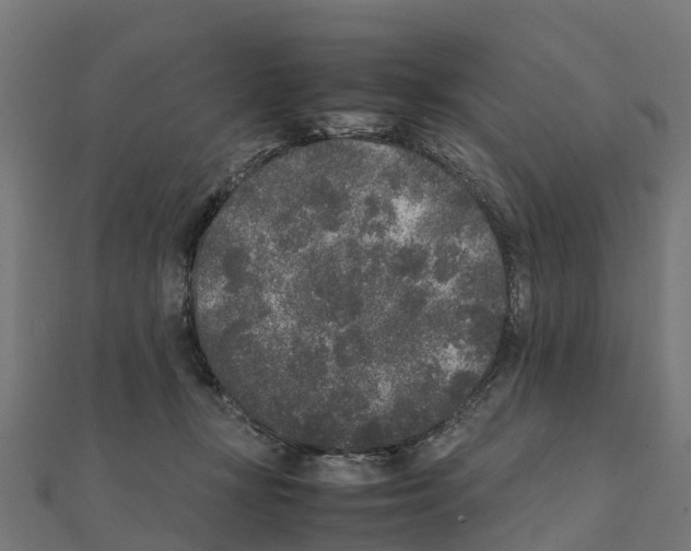 X0000111250367200907301332