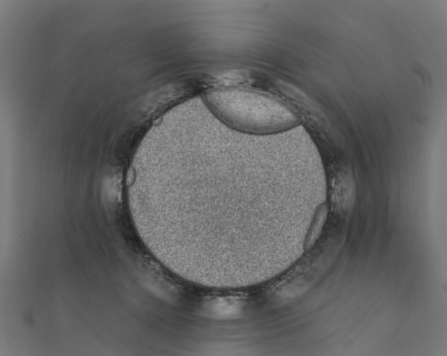 X0000111250368200907301332