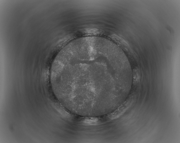 X0000111250369200907301332