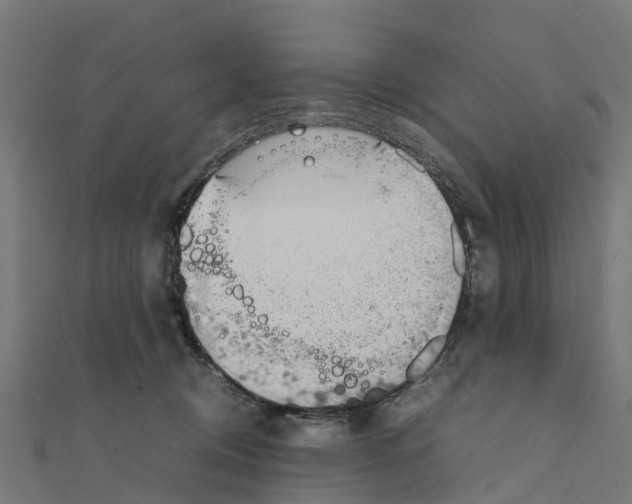 X0000111250370200907301332