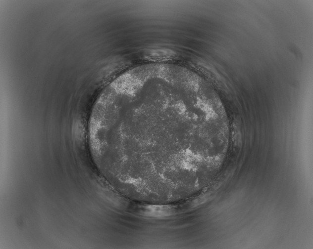 X0000111250371200907301332