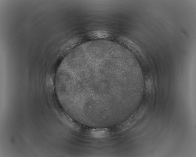 X0000111250373200907301332