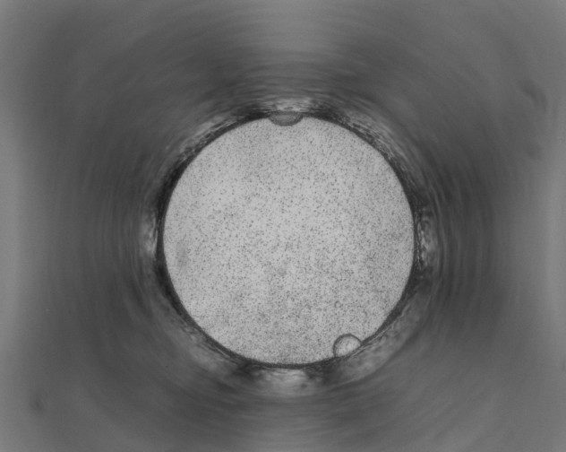 X0000111250374200907301332