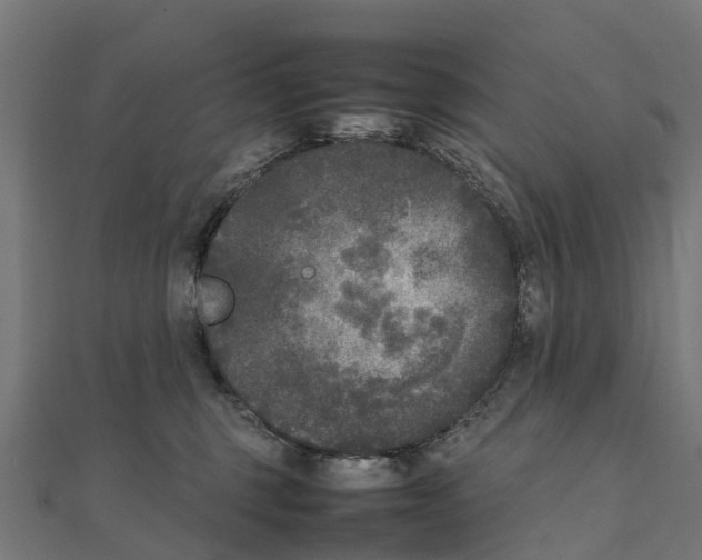 X0000111250375200907301332