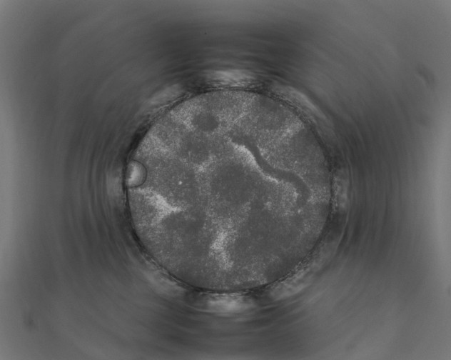 X0000111250377200907301332