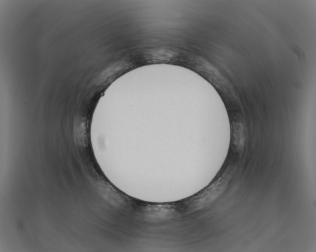 X0000111250378200907301332