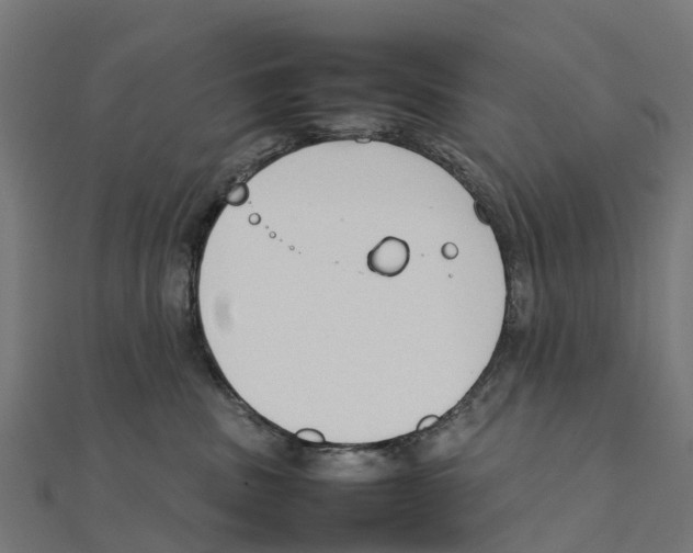 X0000111250379200907301332