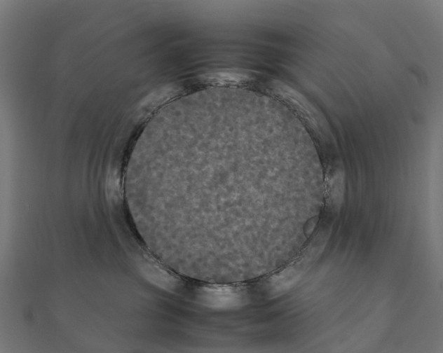 X0000111250381200907301332