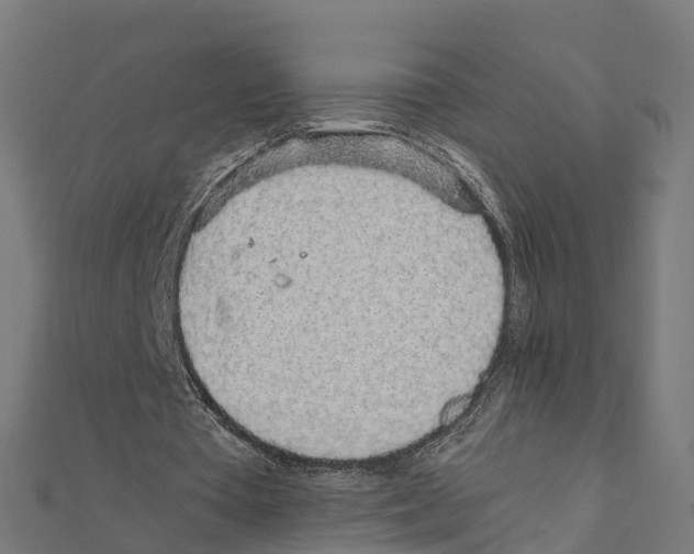 X0000111250385200907301331