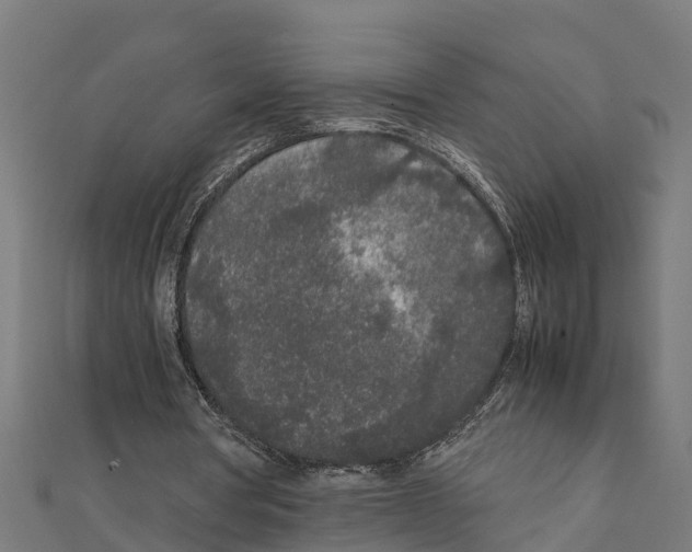 X0000111250386200907301331