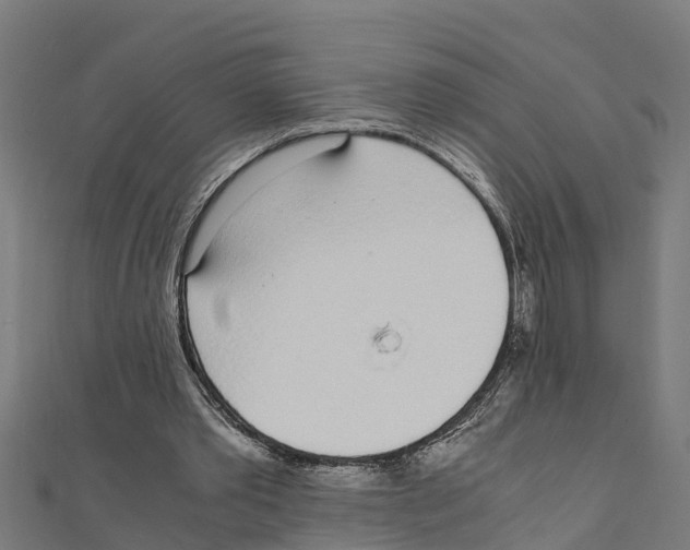 X0000111250389200907301331