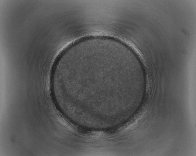 X0000111250391200907301331