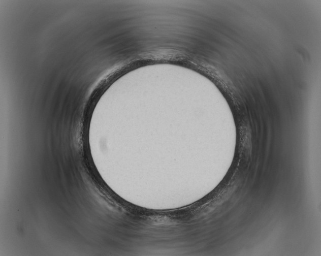 X0000111250392200907301331