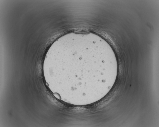 X0000111250393200907301331