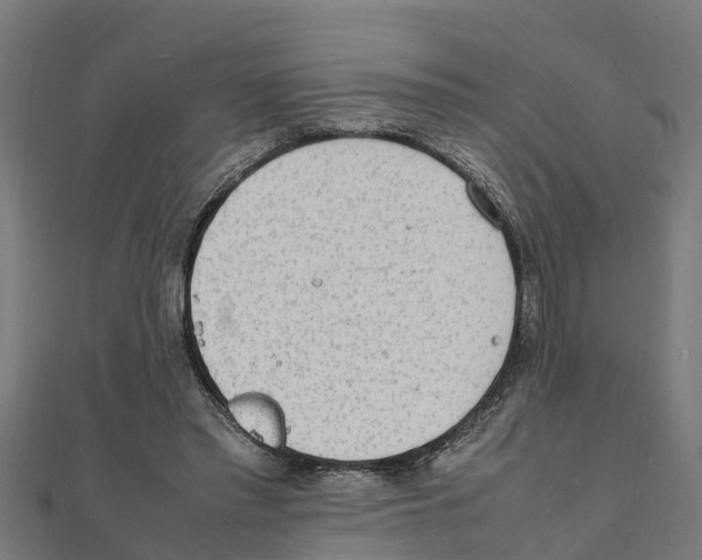 X0000111250397200907301331