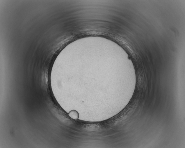 X0000111250398200907301331