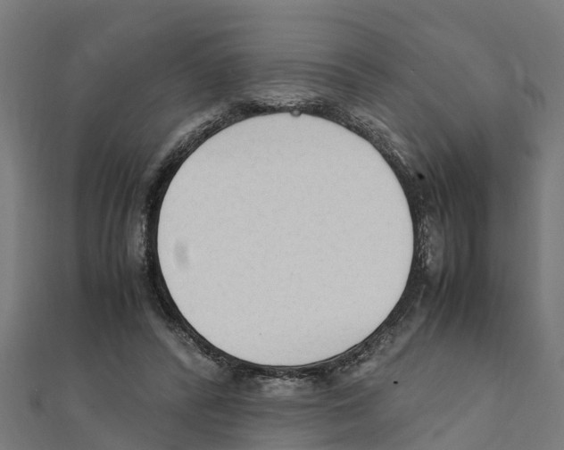 X0000111250400200907301331