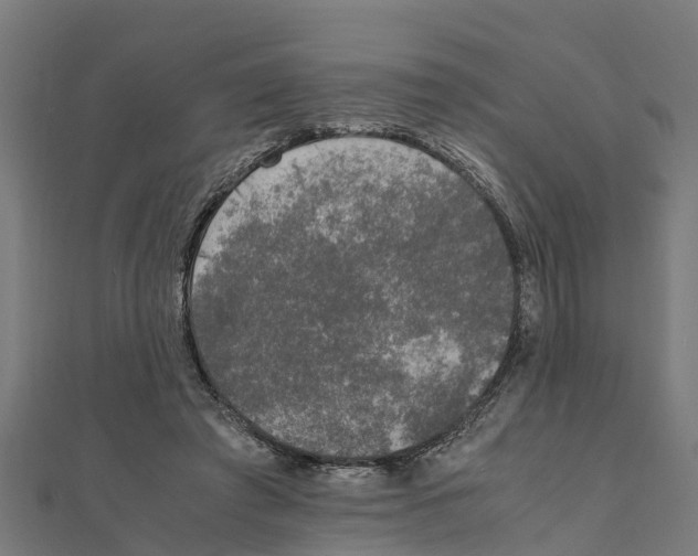 X0000111250401200907301331