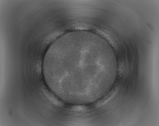 X0000111250402200907301331