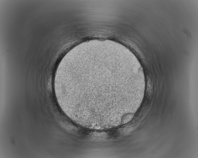 X0000111250403200907301331