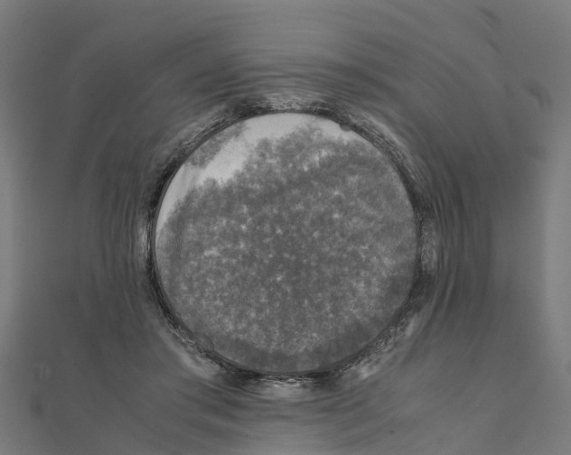 X0000111250405200907301331