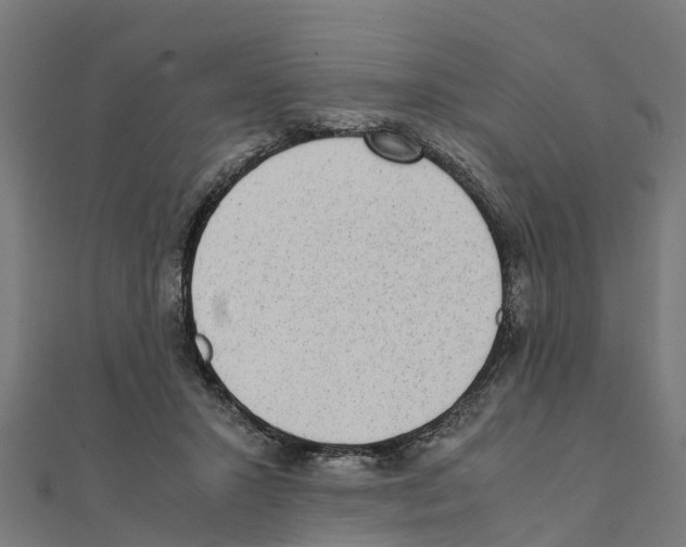 X0000111250407200907301331