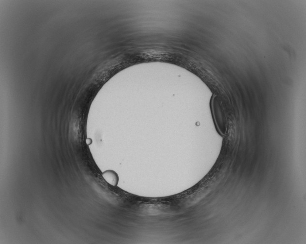 X0000111250408200907301331