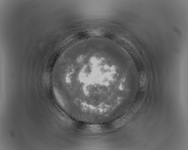 X0000111250409200907301331