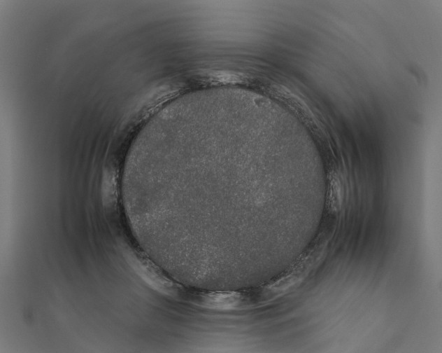 X0000111250410200907301331