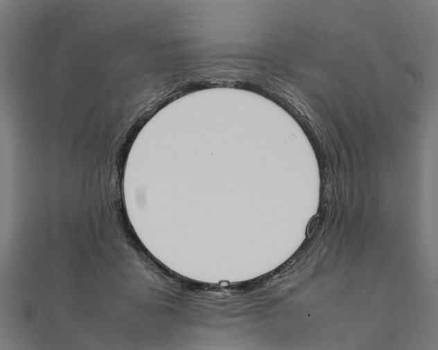 X0000111250411200907301331