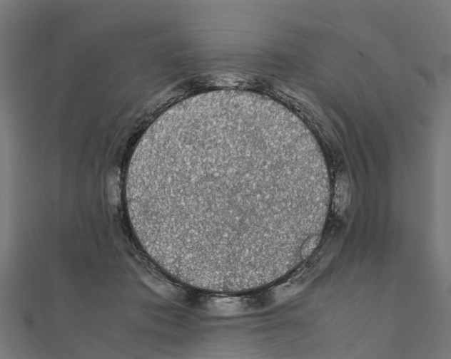 X0000111250413200907301331