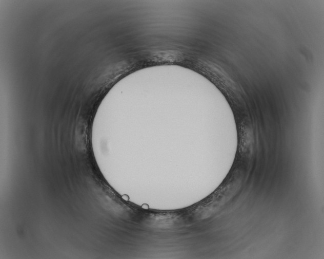 X0000111250414200907301331