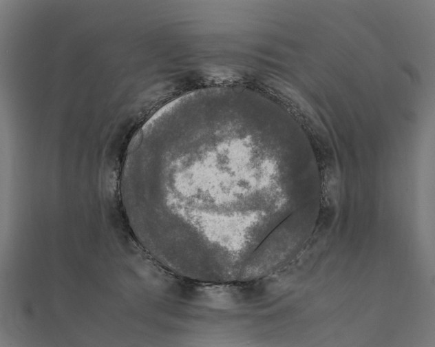 X0000111250417200907301331