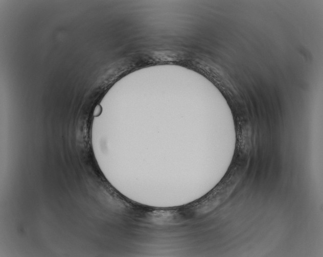 X0000111250418200907301331